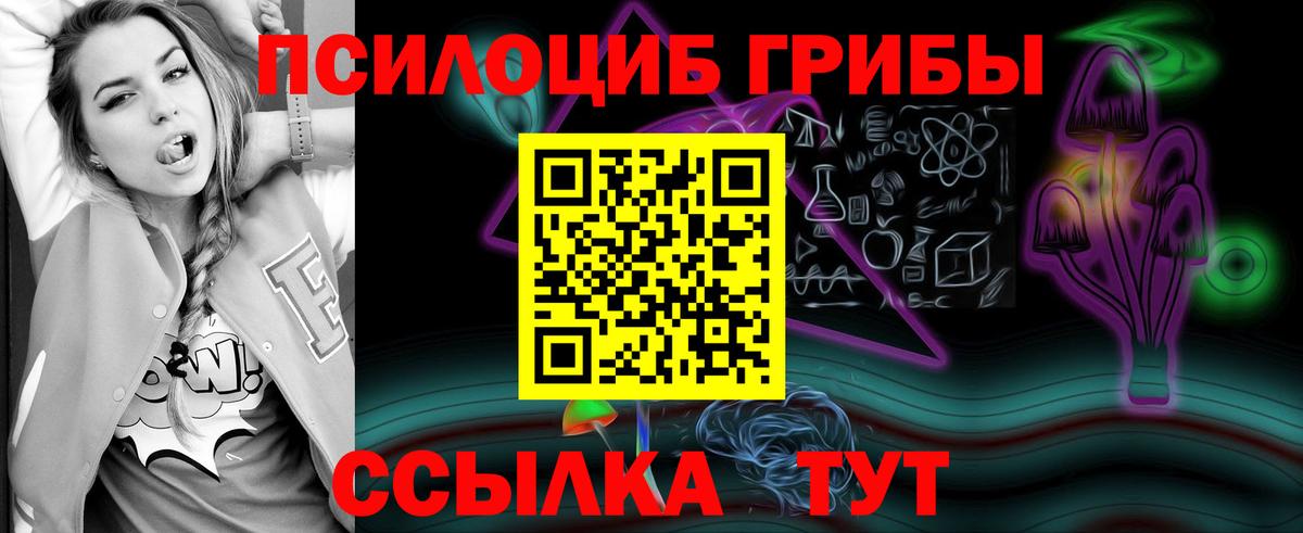 Псилоцибиновые грибы Psilocybine cubensis  Галлюциногенные грибы MAGIC MUSHROOMS  Кольчугино  Вход с VPN 