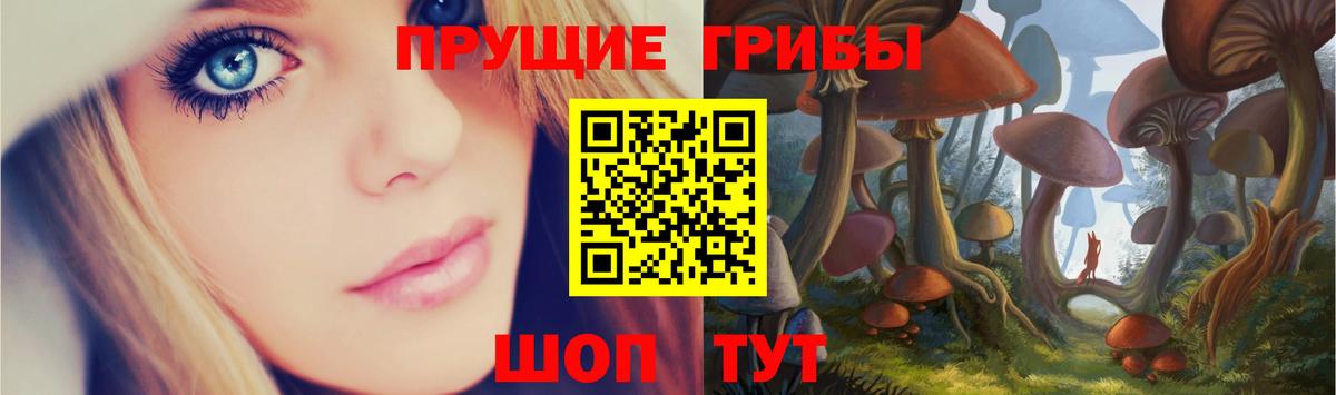 Галлюциногенные грибы MAGIC MUSHROOMS Кольчугино